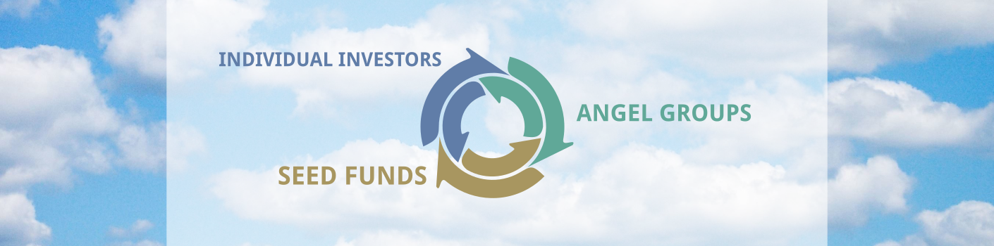infographic featuring individual investors, angel groups, and seed funds as equal sections of a brain